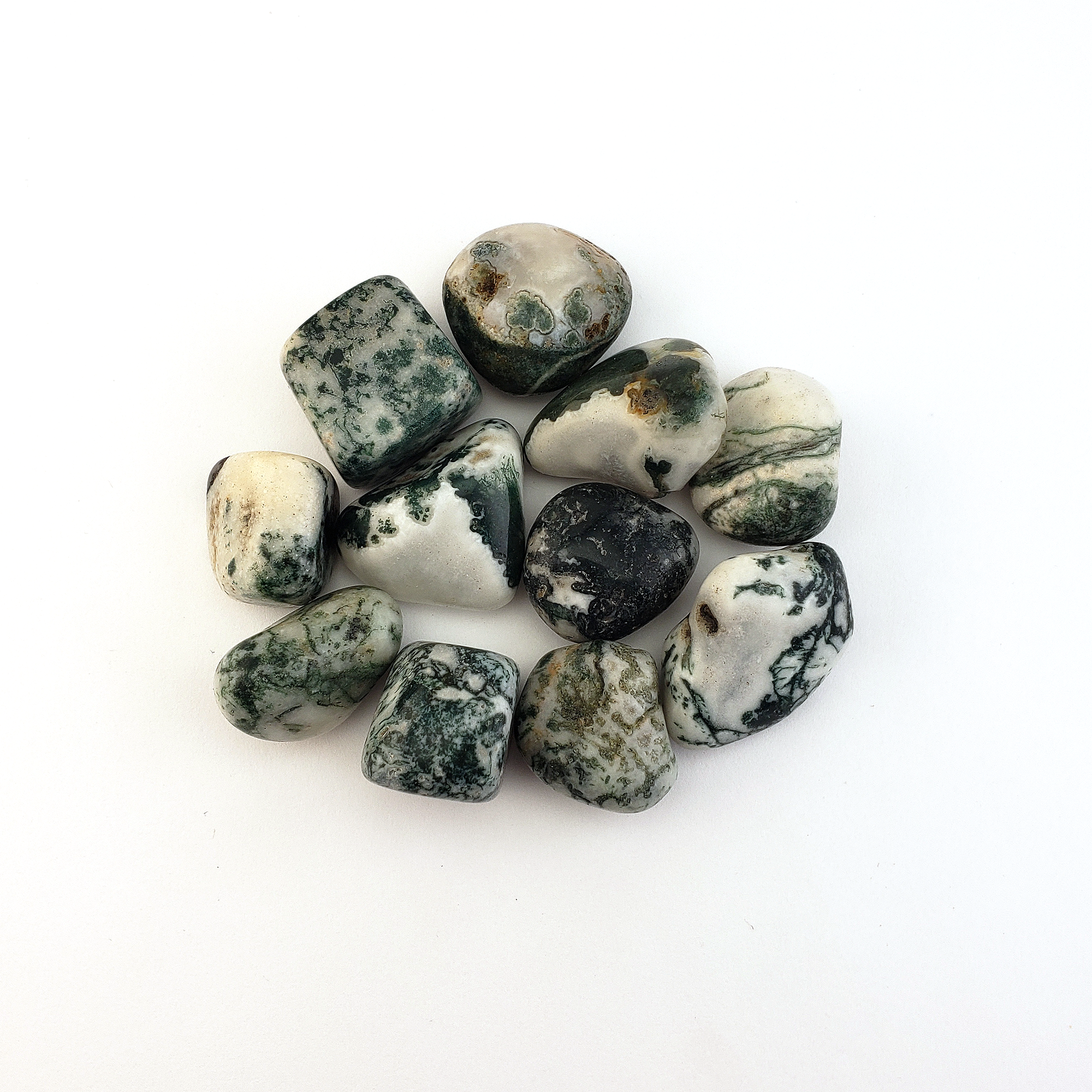 Tree Agate Natural Tumbled Crystal - One Stone - White Background 2
