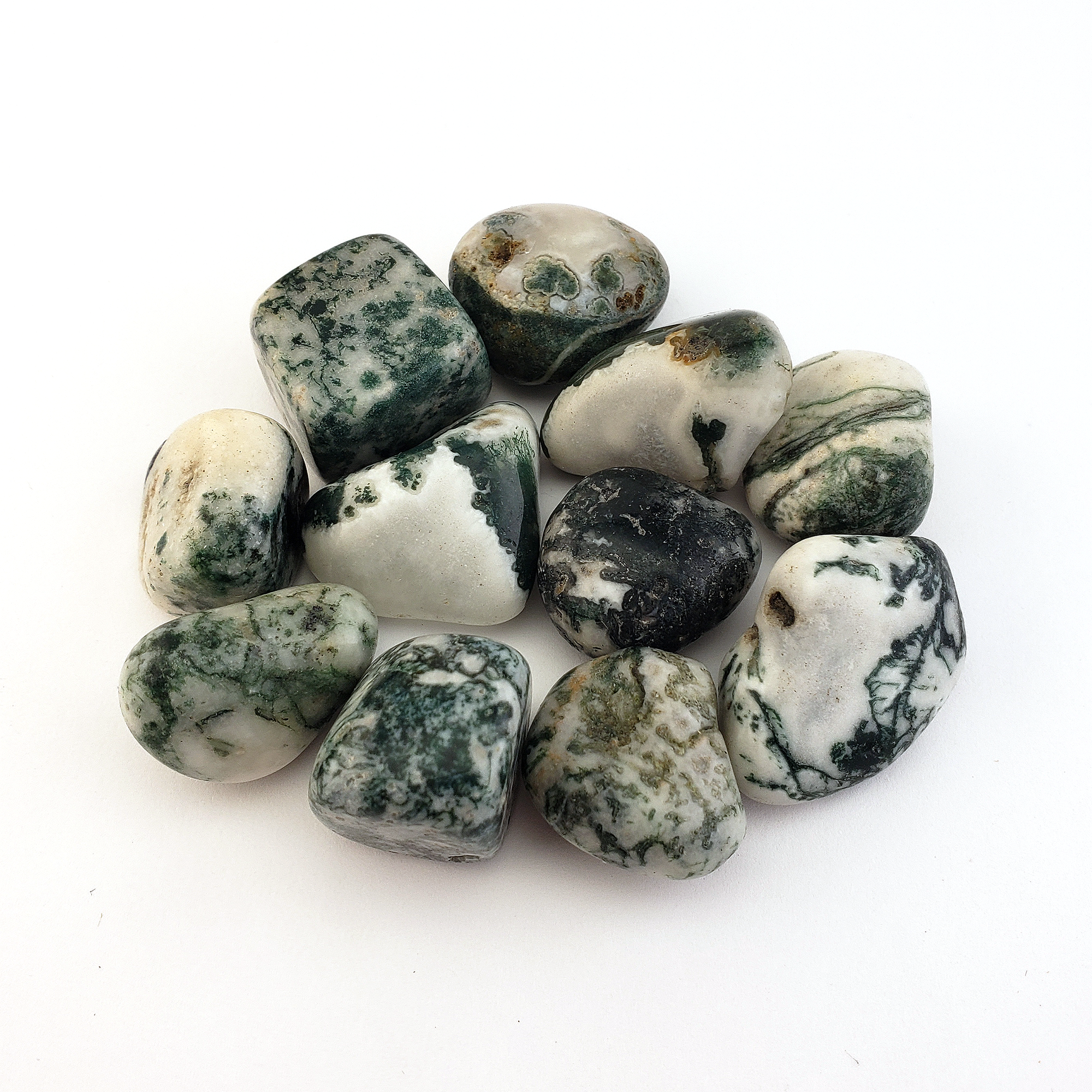 Tree Agate Natural Tumbled Crystal - One Stone - White Background