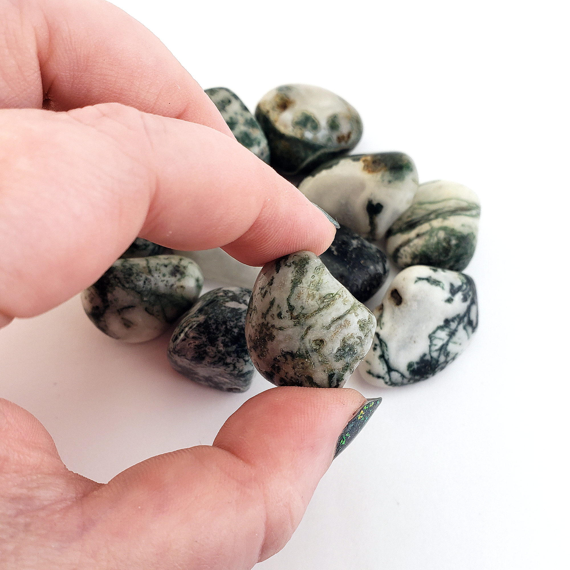 Tree Agate Natural Tumbled Crystal - One Stone - Held Between Fingers