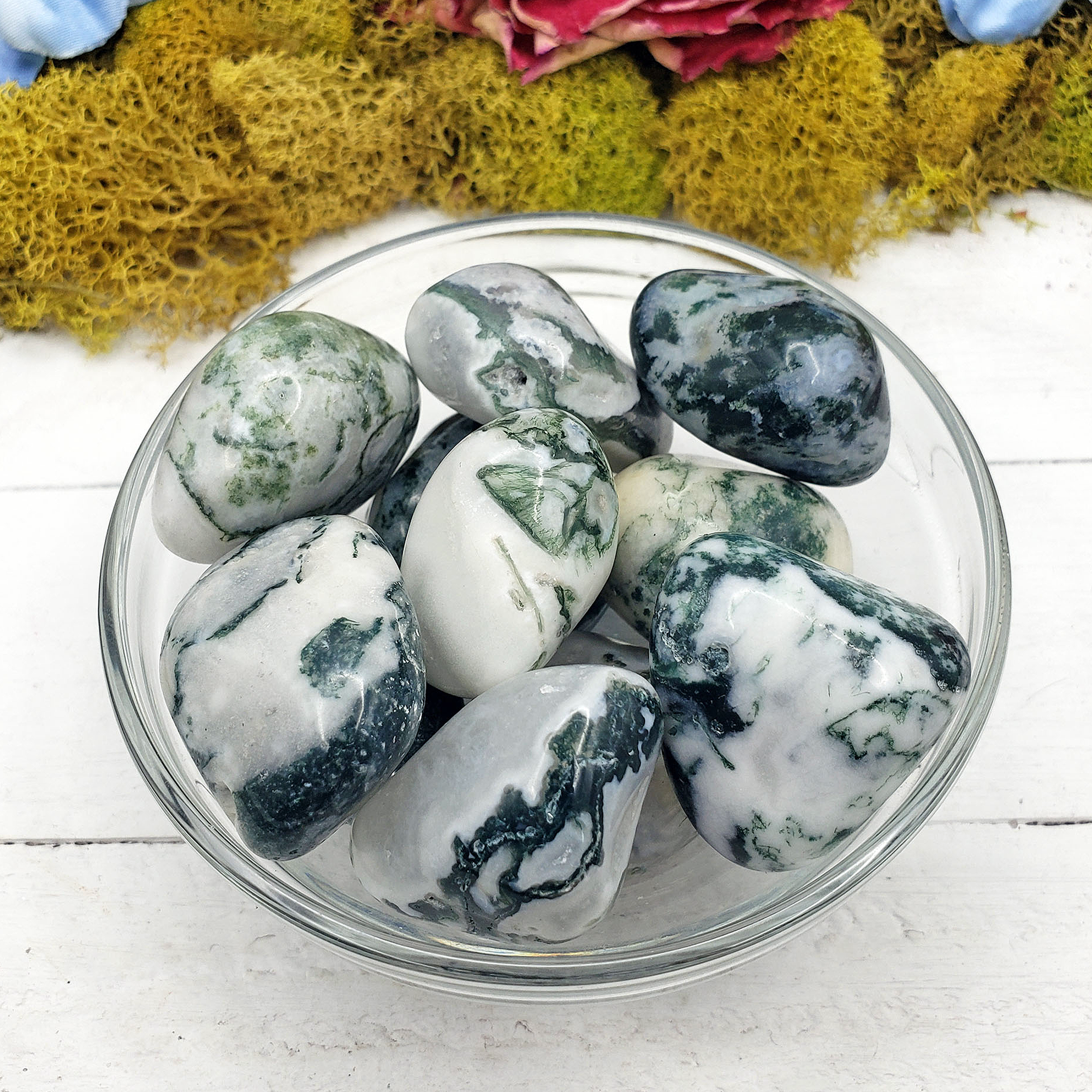 Tree Agate Natural Tumbled Crystal - One Stone - In Glass Bowl