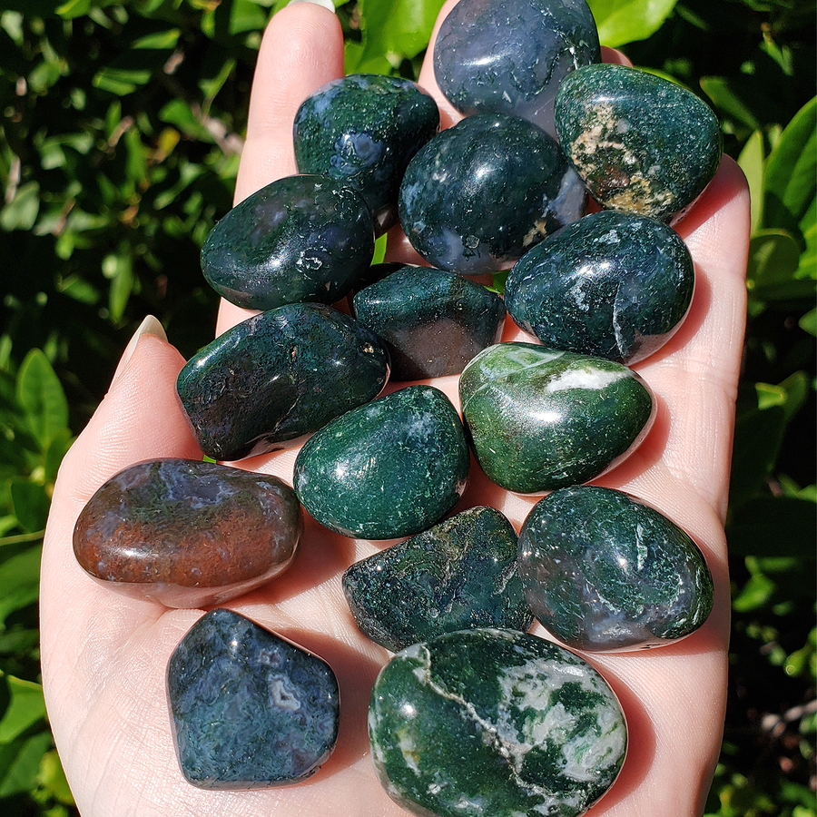 Moss Agate Natural Tumbled Crystal - One Stone - In Bright Sunlight