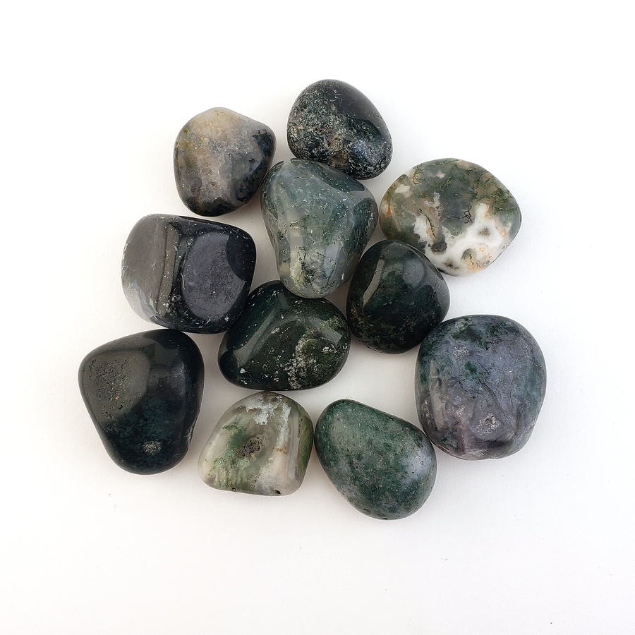 Moss Agate Natural Tumbled Crystal - One Stone