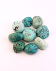 Peruvian Turquoise Natural Tumbled Stone - One Stone - White Background 2