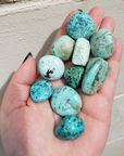 Peruvian Turquoise Natural Tumbled Stone - One Stone - Brick Background, Stones in Hand