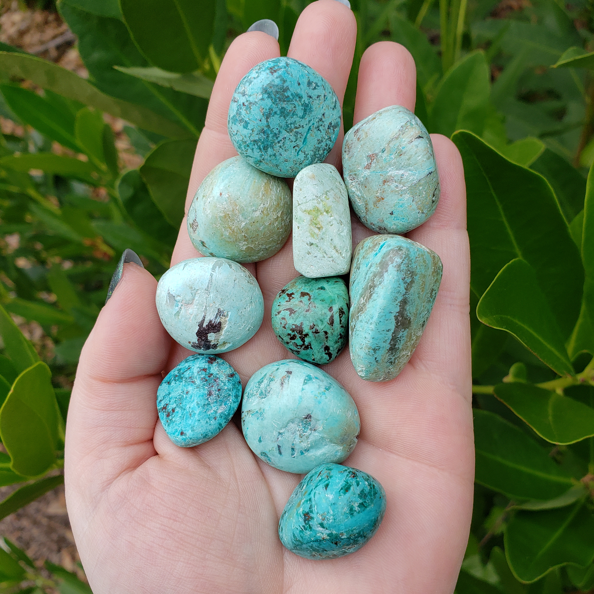 Peruvian Turquoise Natural Tumbled Stone - One Stone - In Outdoor Light