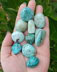 Peruvian Turquoise Natural Tumbled Stone - One Stone - In Outdoor Light