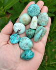 Peruvian Turquoise Natural Tumbled Stone - One Stone - In Hand
