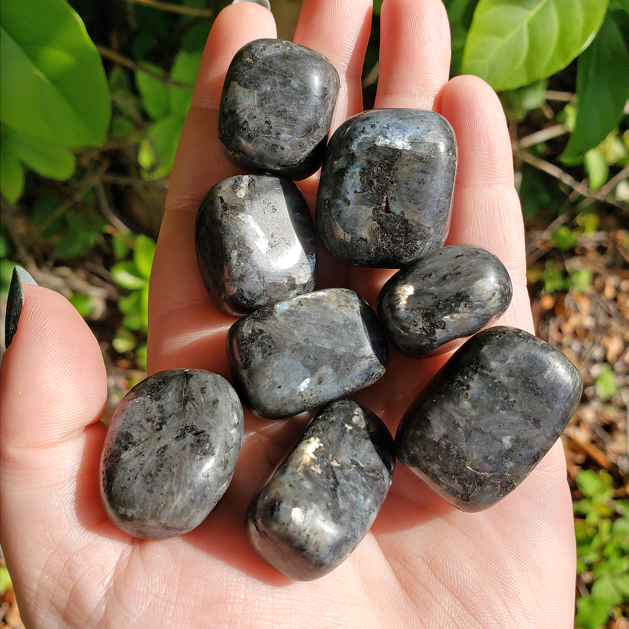 Larvikite Feldspar Natural Tumbled Crystal - One Stone - Handful in Bright Sunlight