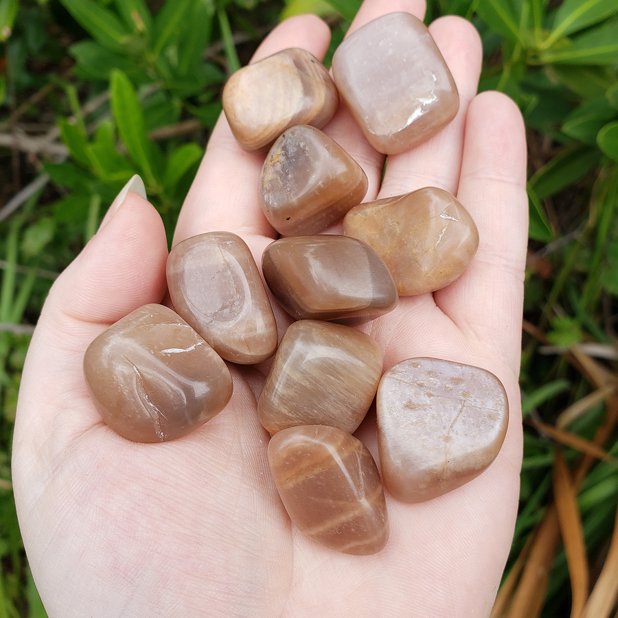 Peach Moonstone Natural Crystal Tumbled Stone - One Stone