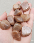 Peach Moonstone Natural Crystal Tumbled Stone - One Stone - Polished Stones