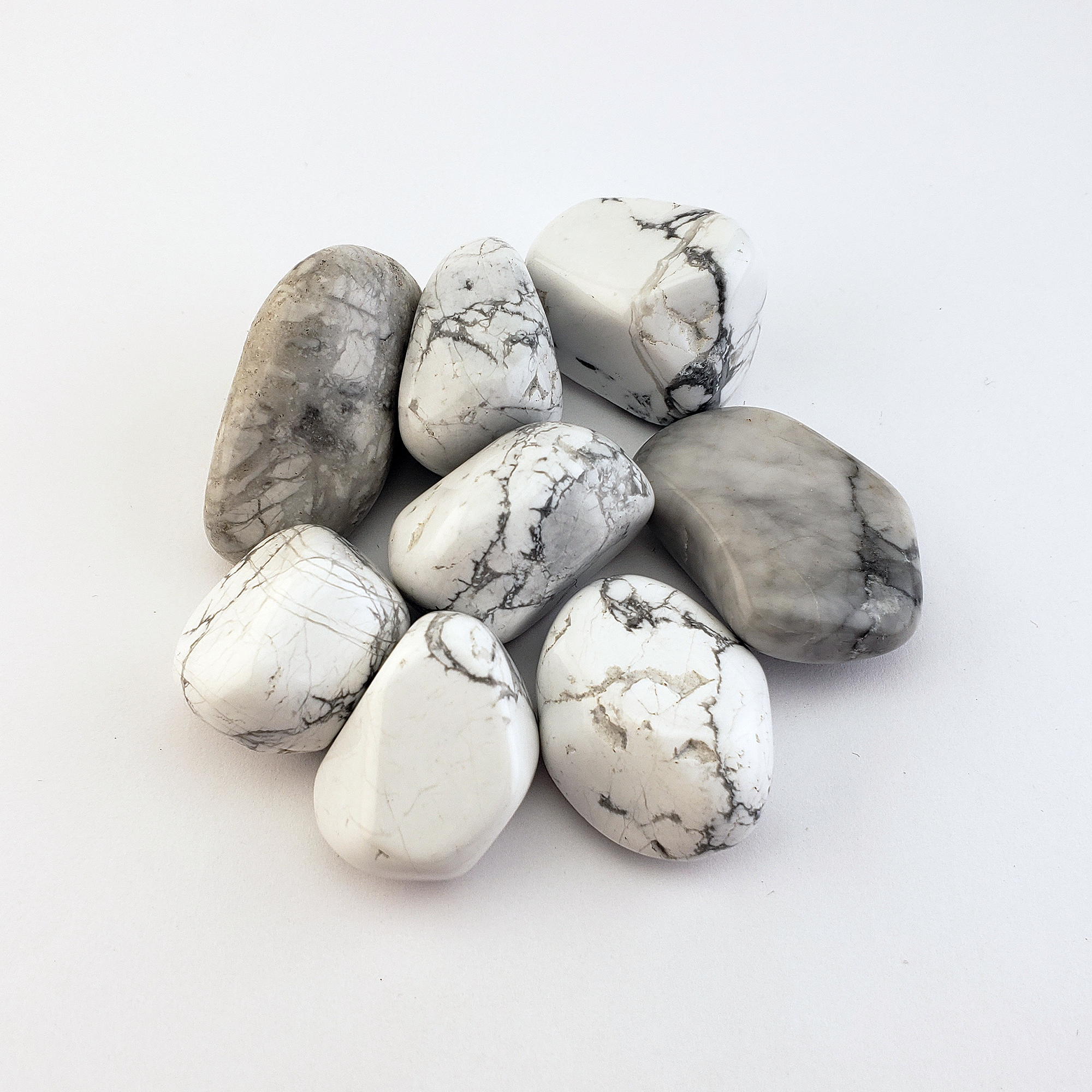 Howlite Natural Tumbled Stone - One Stone - White Background