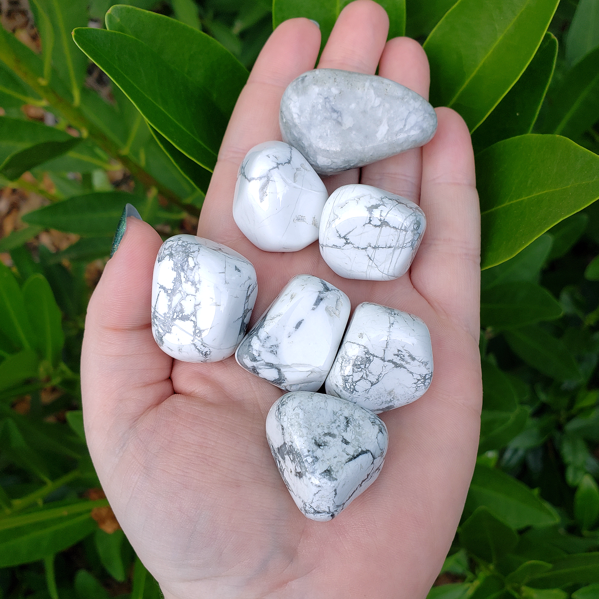 Howlite Natural Tumbled Stone - One Stone - In Hand