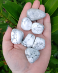 Howlite Natural Tumbled Stone - One Stone - In Hand