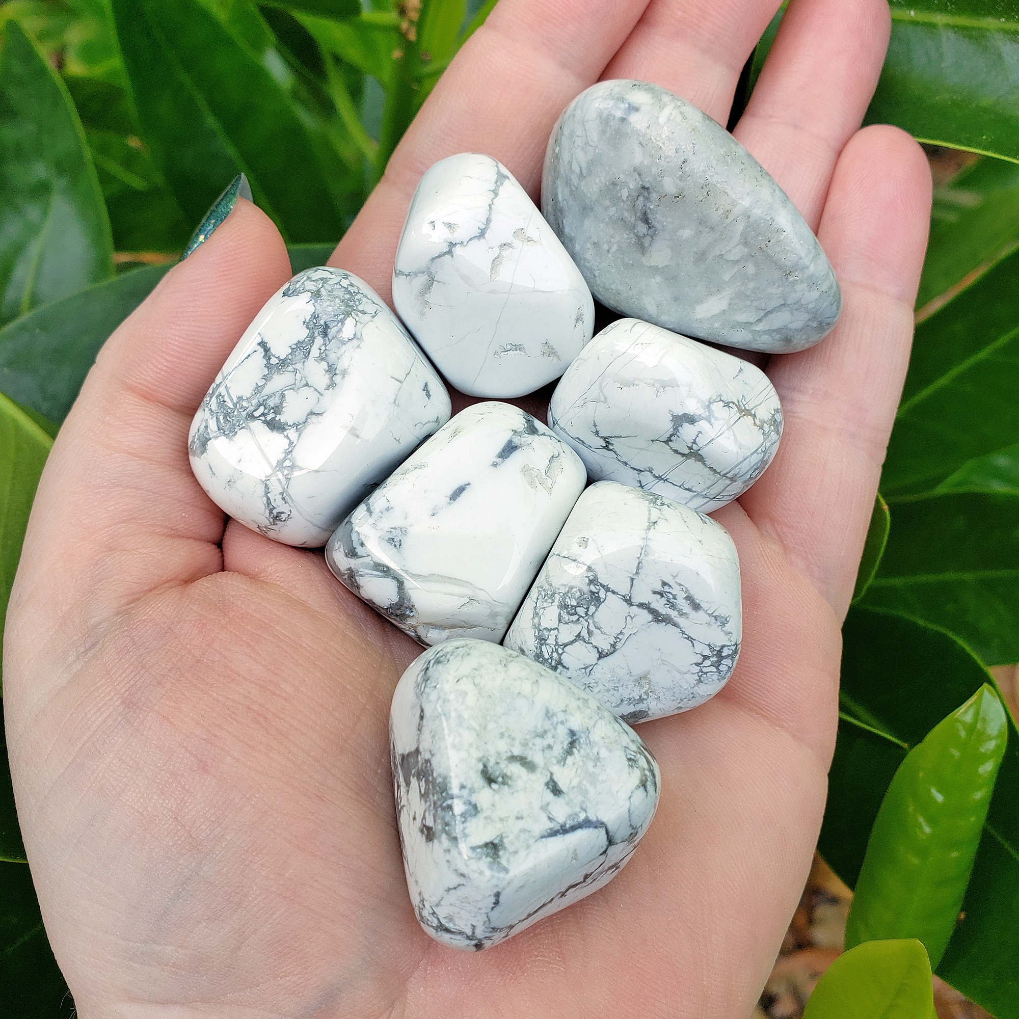 Howlite Natural Tumbled Stone - One Stone - Outdoor Close Up