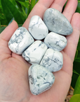 Howlite Natural Tumbled Stone - One Stone - Outdoor Close Up