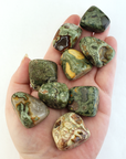 Green Rainforest Rhyolite Natural Tumbled Stone - One Stone - Hand Against White Background