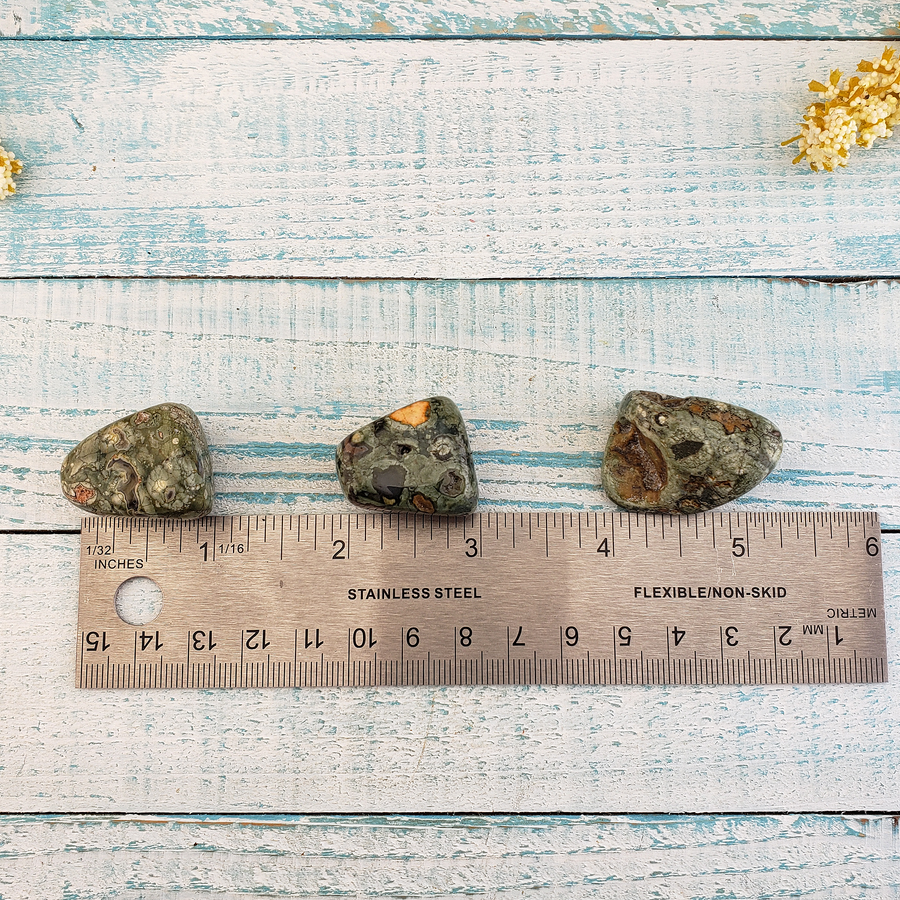Green Rainforest Rhyolite Natural Tumbled Stone - One Stone - Measurements