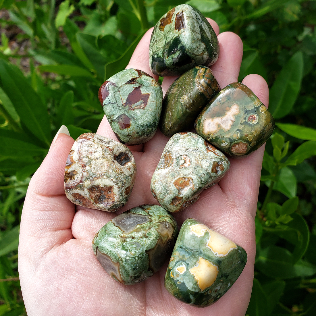 Green Rainforest Rhyolite Natural Tumbled Stone - One Stone - Outdoors