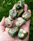 Green Rainforest Rhyolite Natural Tumbled Stone - One Stone - Outdoors