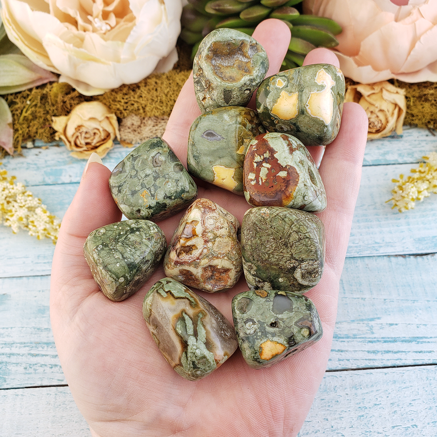 Green Rainforest Rhyolite Natural Tumbled Stone - One Stone -  In Hand