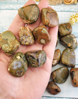 Rhyolite Tumbled Stones for Manifestation