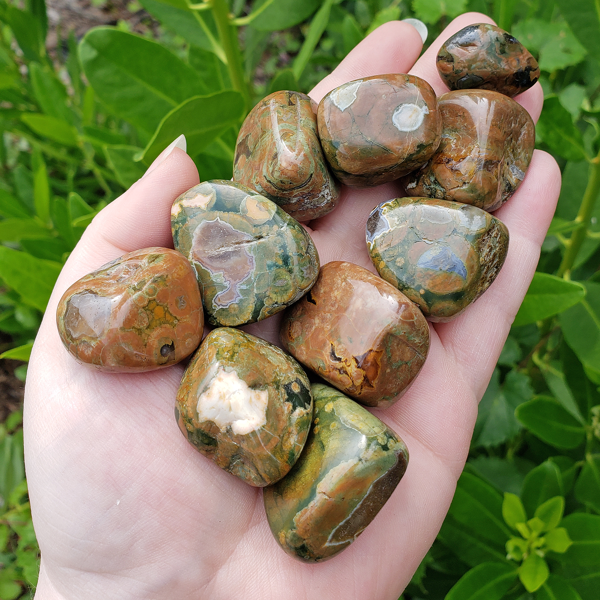 Natural Tumbled Rhyolite Stones in Hand