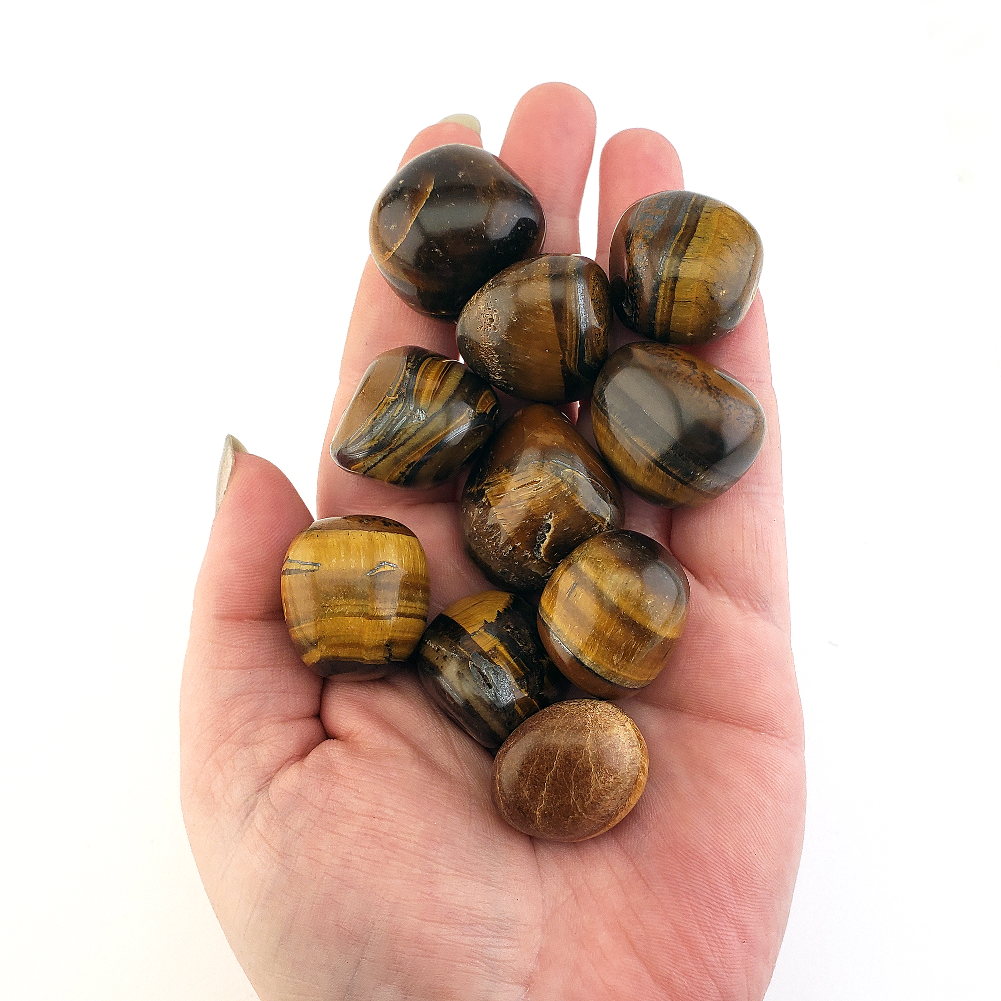 Tigers Eye Natural Tumbled Crystal - One Stone - In Hand over White Background