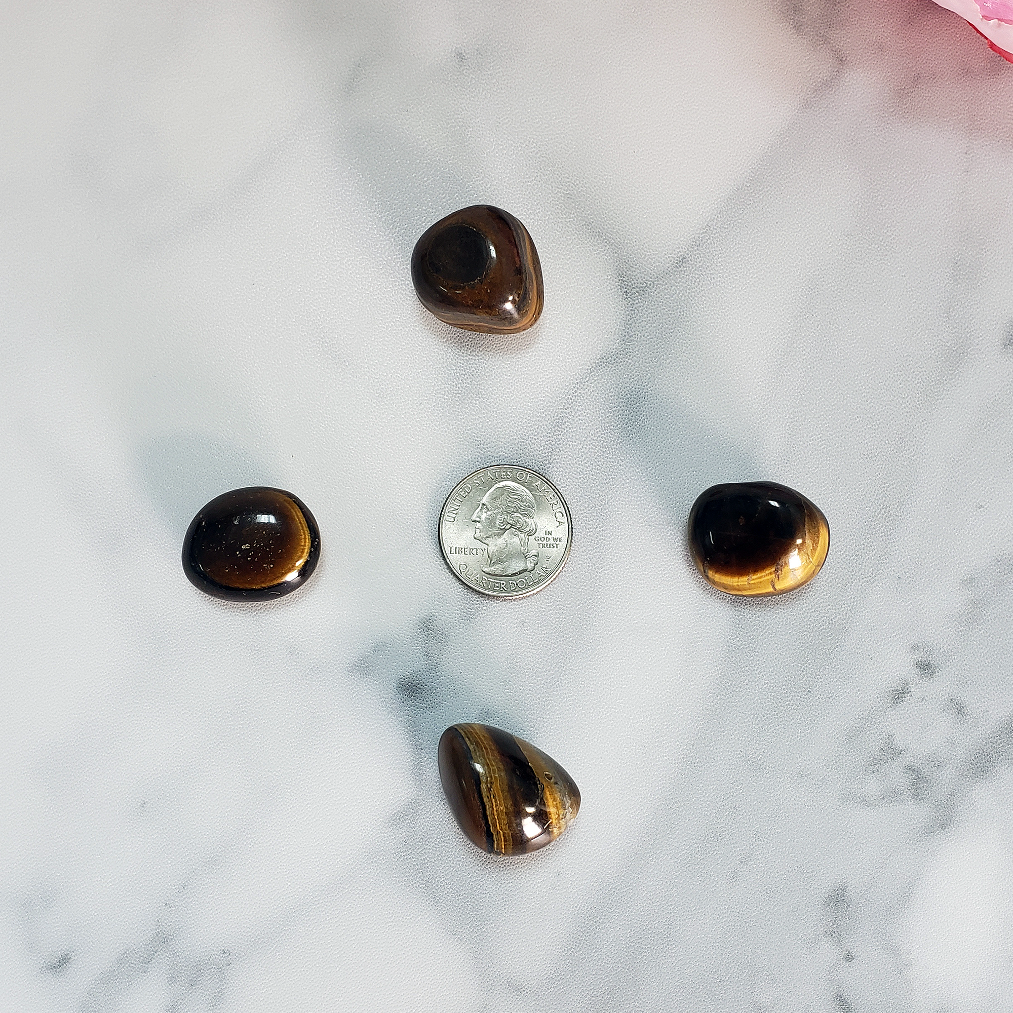 Tigers Eye Natural Tumbled Crystal - One Stone - Size Comparison