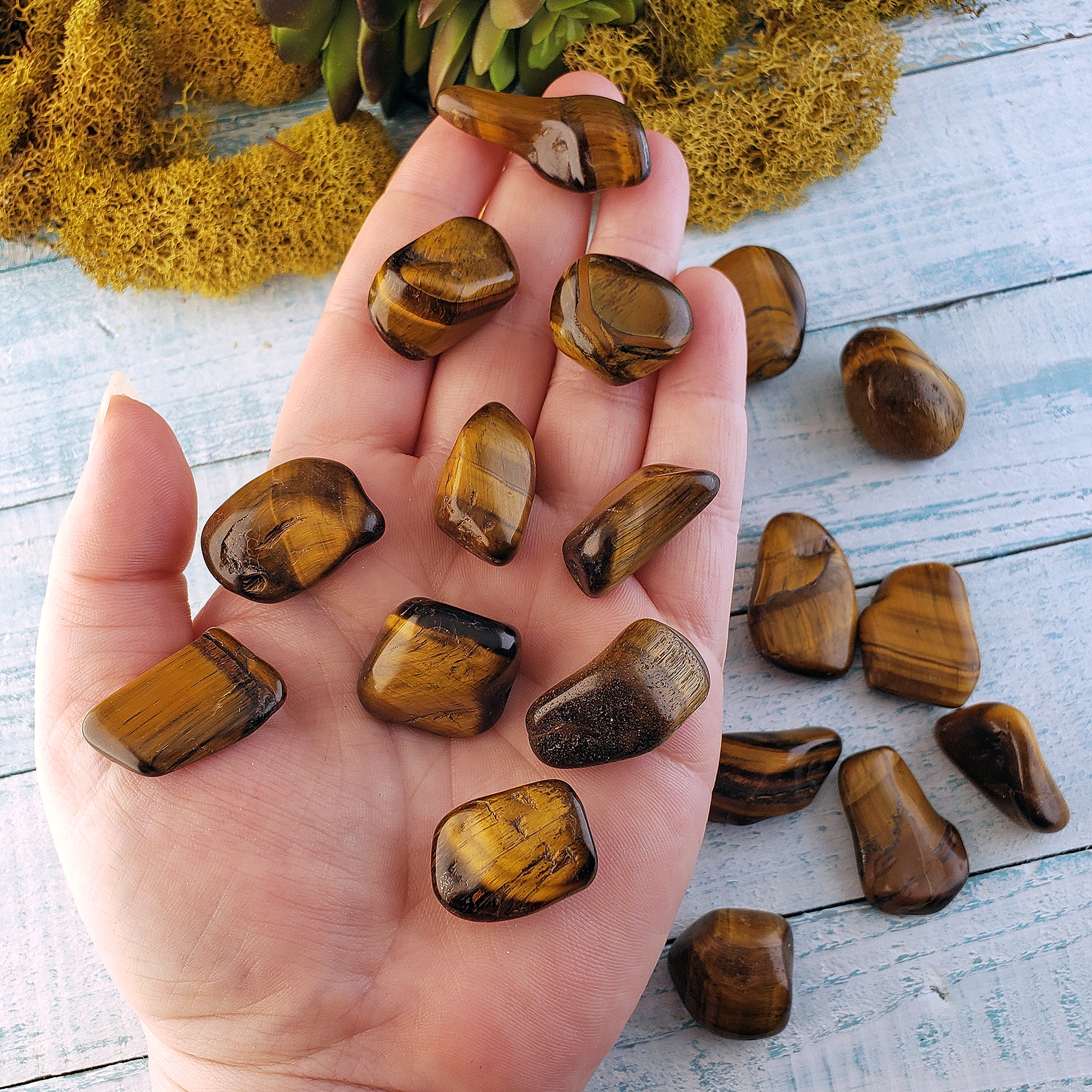 Tigers Eye Natural Tumbled Crystal - One Stone - Group in Hand
