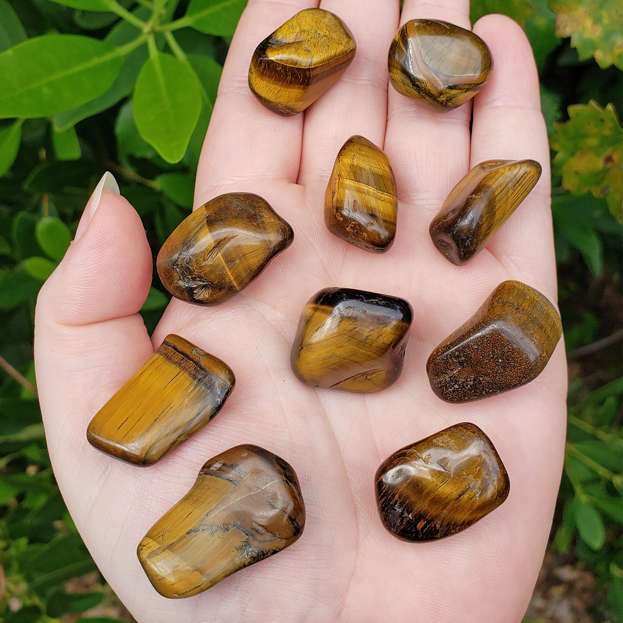 Tigers Eye Natural Tumbled Crystal - One Stone - Close Up in Hand