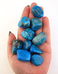 Turquenite Blue Howlite Dyed Tumbled Stone - One Stone - In Hand, White Background