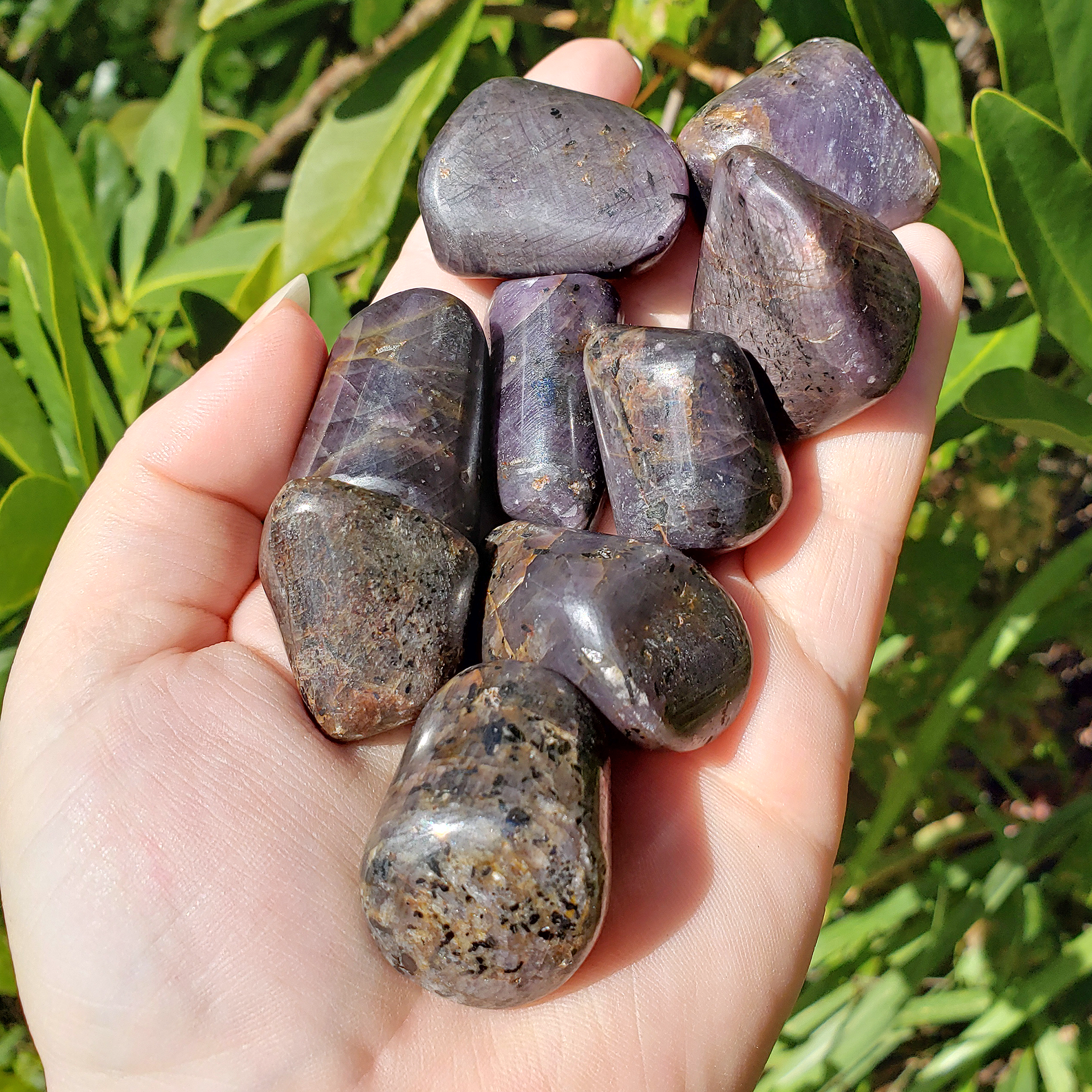 Star Ruby Corundum Polished Tumbled Gemstone - One Stone - Direct Sunlight