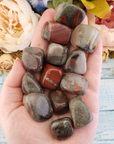 Seftonite Bloodstone Crystal Natural Gemstone Tumbled Stone | One Stone - 7