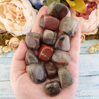 Seftonite Bloodstone Natural Tumbled Stone - Small One Stone - In Hand