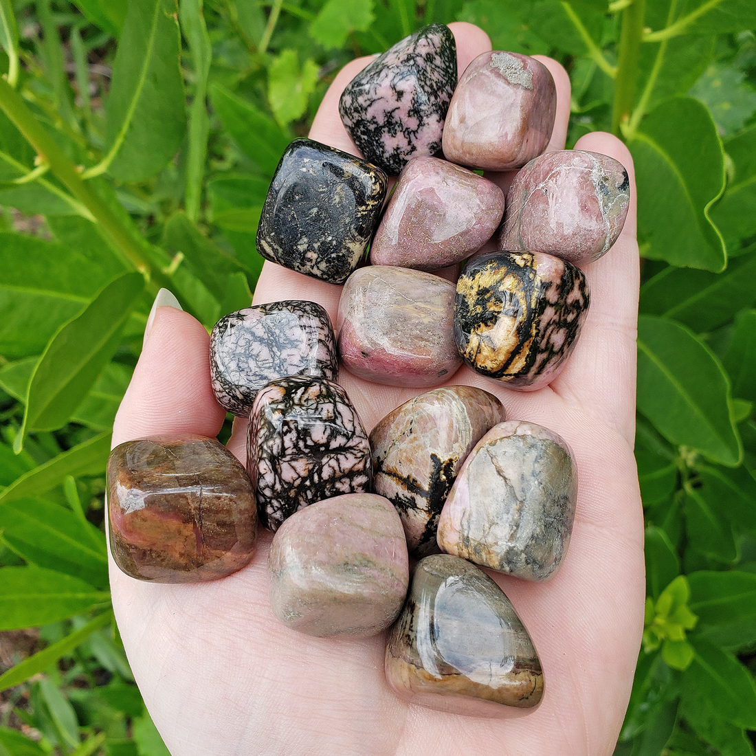 Rhodonite Natural Crystal Tumbled Stone - One Stone - Outdoors