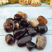 Zebra Amber Natural Tumbled Fossil Tree Resin Organic Gemstone - Grouped Pieces