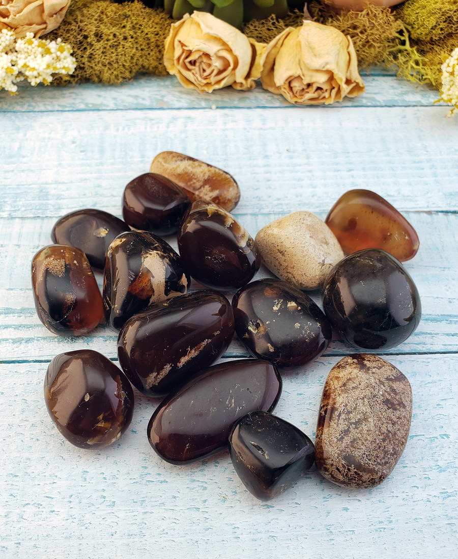 Zebra Amber Natural Tumbled Fossil Tree Resin Organic Gemstone - Grouped Pieces