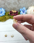hand pinching phenacite stone