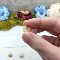 hand pinching phenacite stone