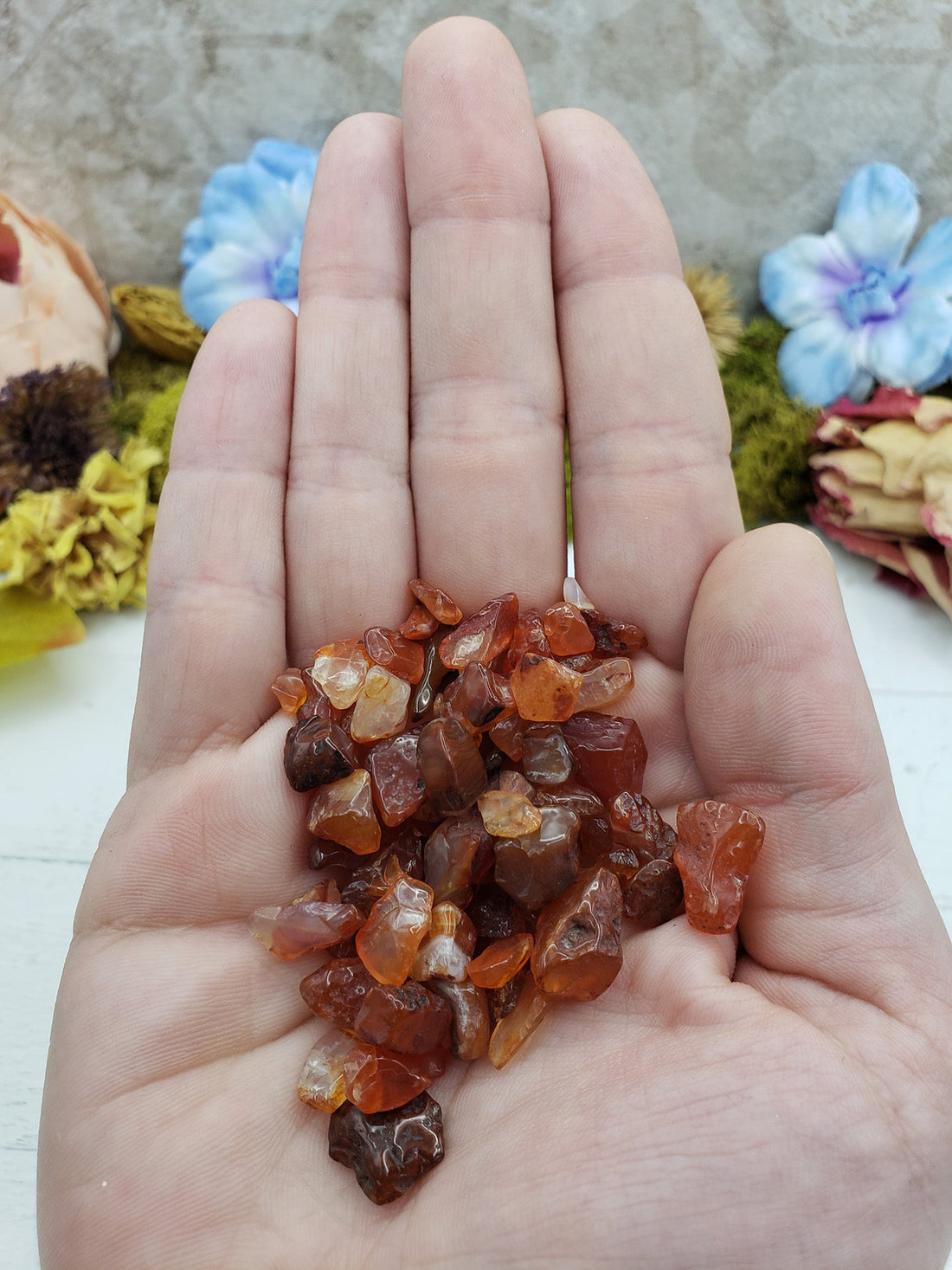hand holding one ounce of carnelian stone chips