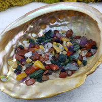 One ounce of mixed gemstone crystal chips in abalone shell