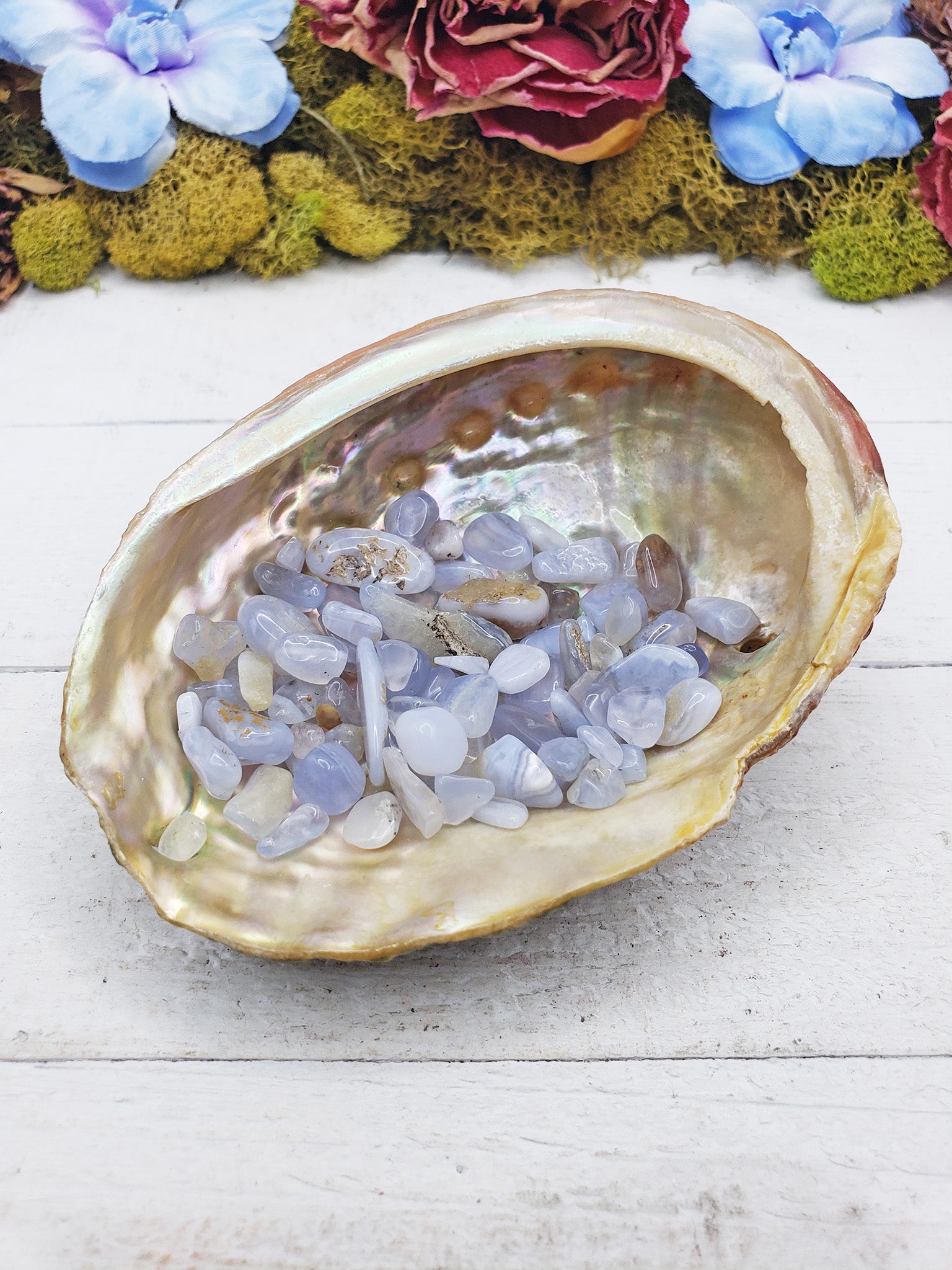 blue agate crystal chips in shell