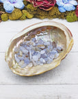 blue agate crystal chips in shell