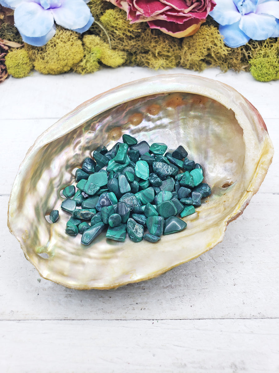 malachite crystal chips in shell