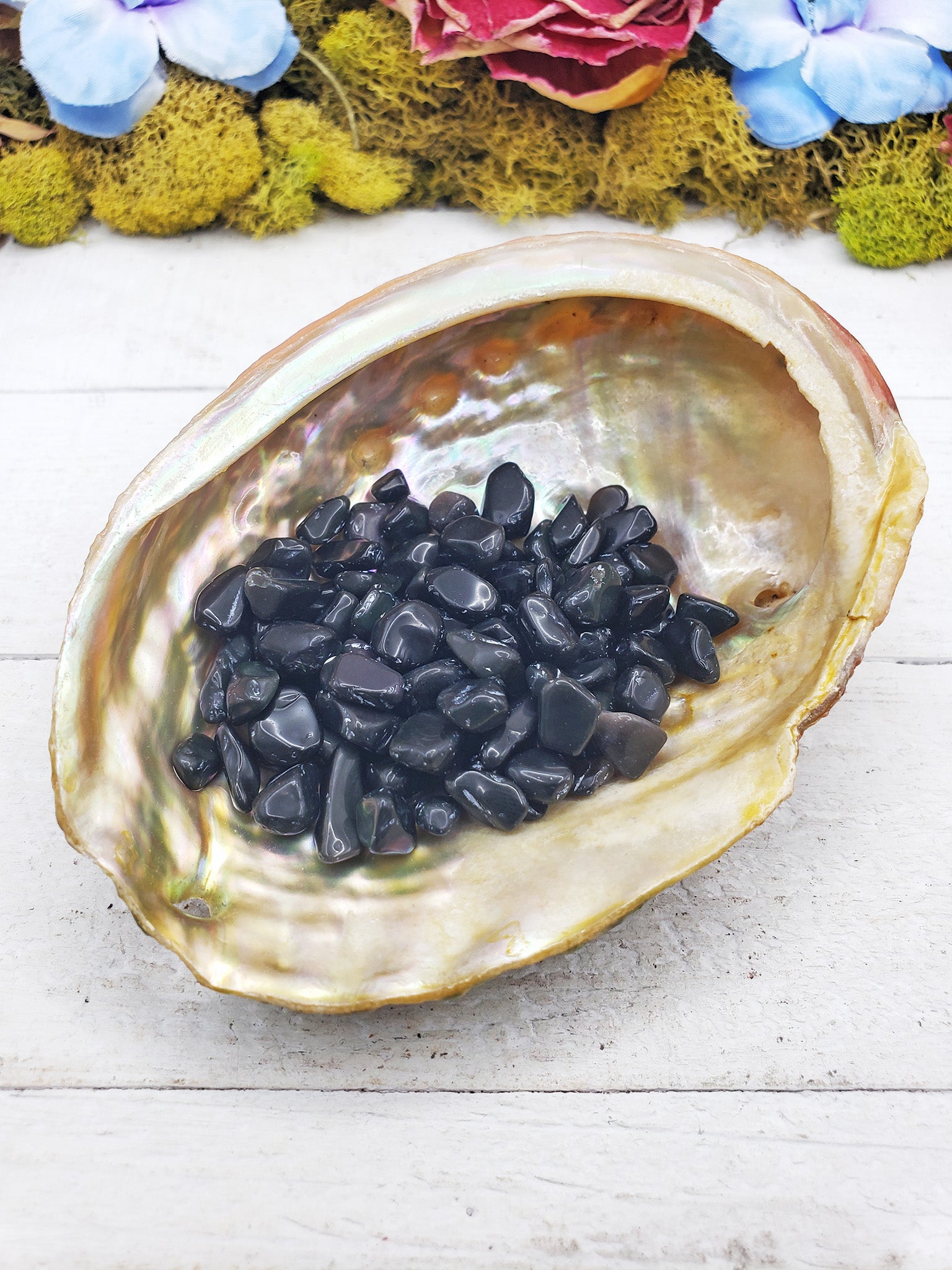 rainbow obsidian crystal chips in shell