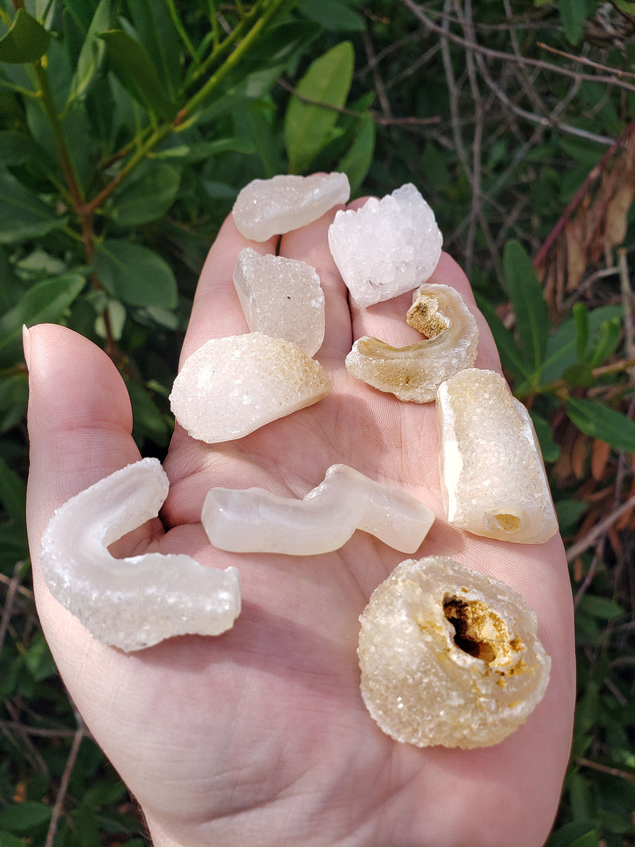 Bamboo Agate Polished Natural Gemstone - Multiple Sizes