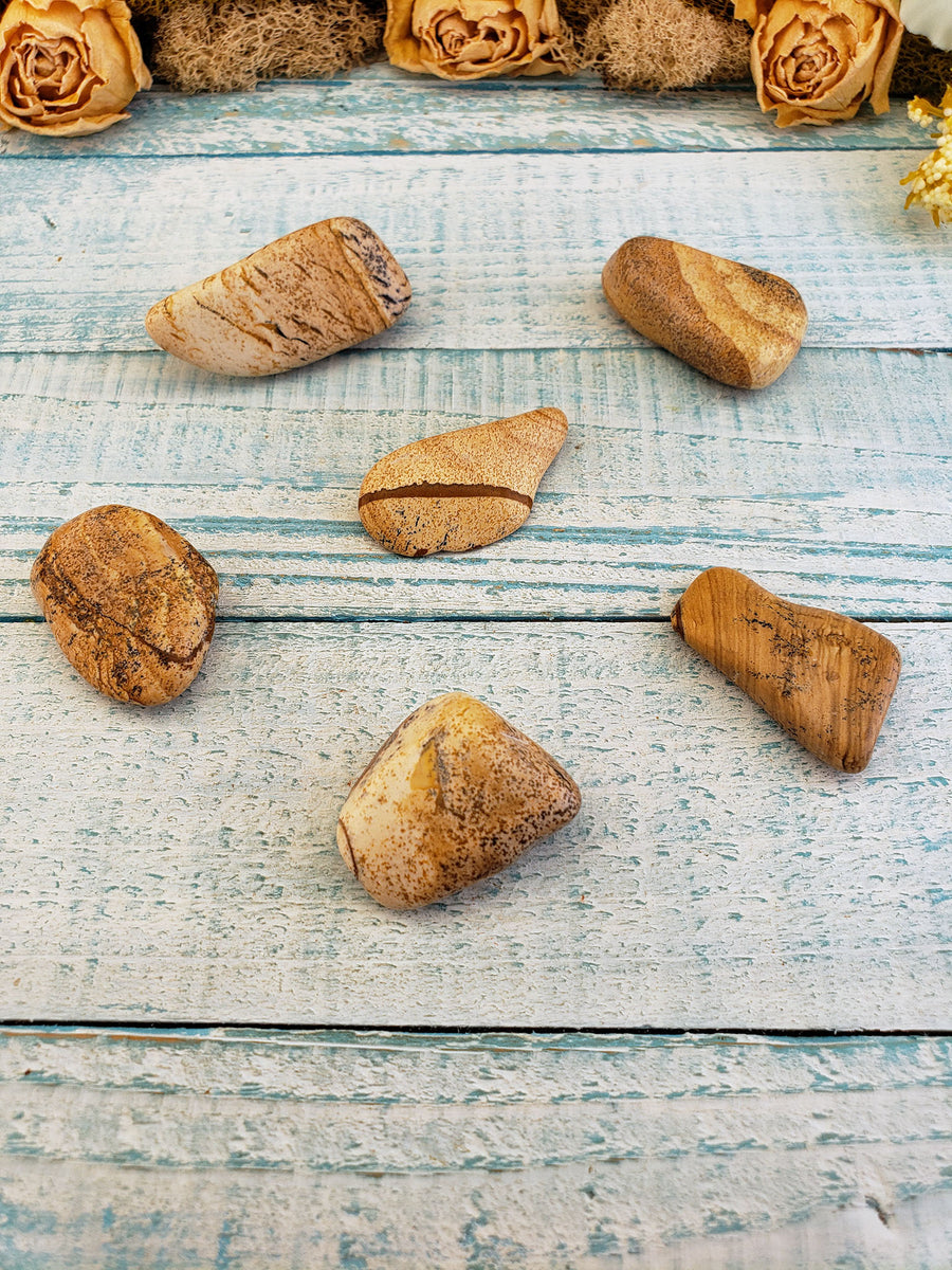 Picture Jasper Natural Tumbled Gemstone - Freeform One Stone