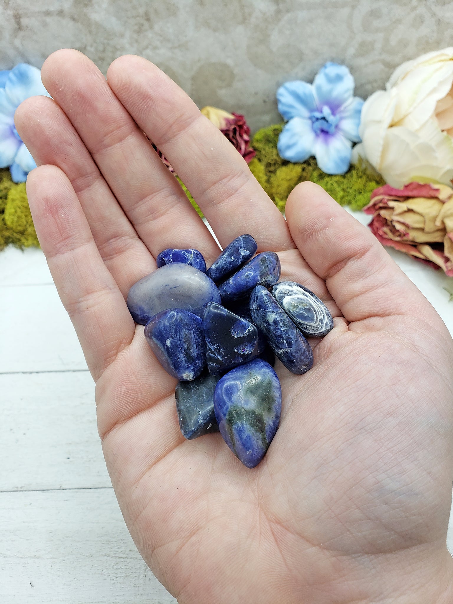 tumbled sodalite stones in hand