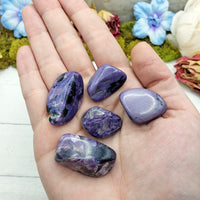 charoite stone pieces in hand