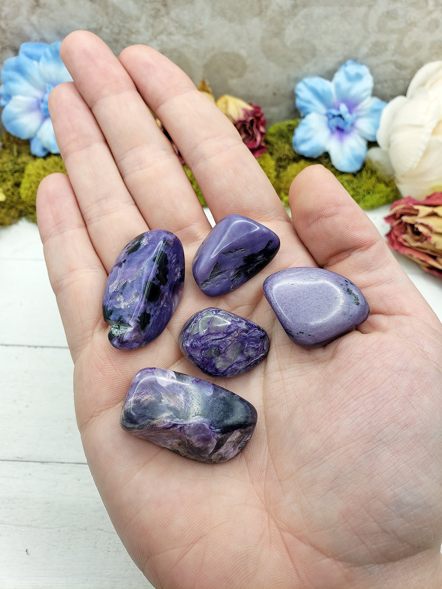 charoite stone pieces in hand